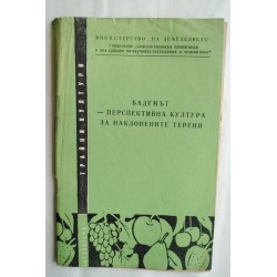 Бадемът - перспективна...