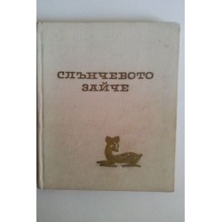 Слънчевото зайче