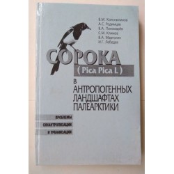 Сорока ( Pica Pica L ) в...