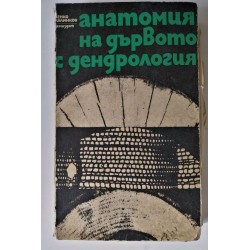 Анатомия на дървото с...