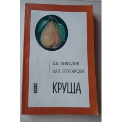 Круша - Николов, Коларски