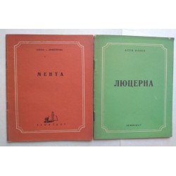 Мента. Люцерна