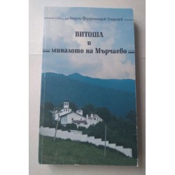 Витоша и миналото и...